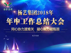 亿万先生集团2018年中总结报告（摘要）