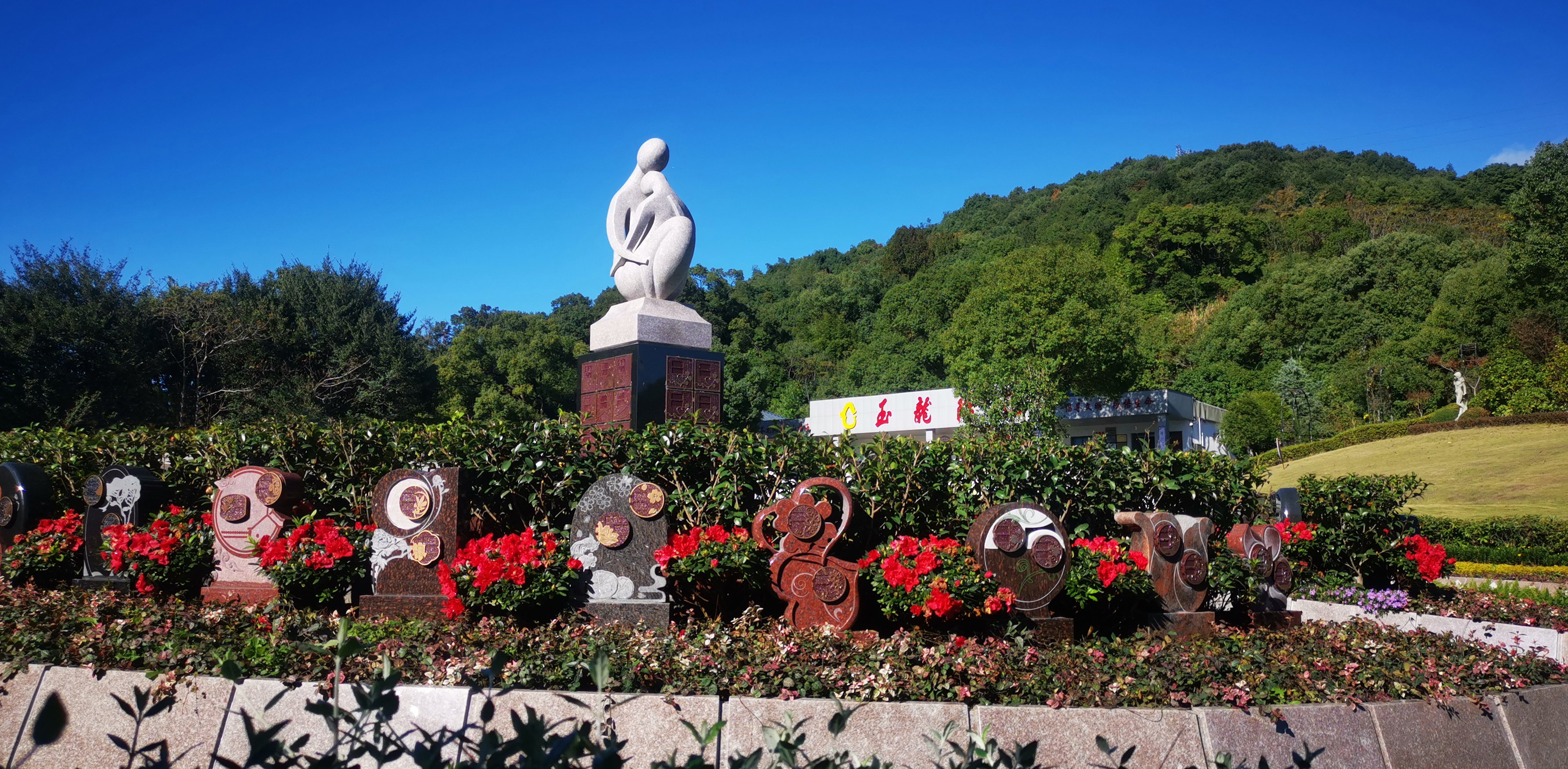 未来，生态葬或将成为主流