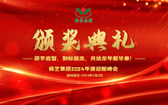 2024年亿万先生集团迎新春年会暨颁奖典礼盛大举行