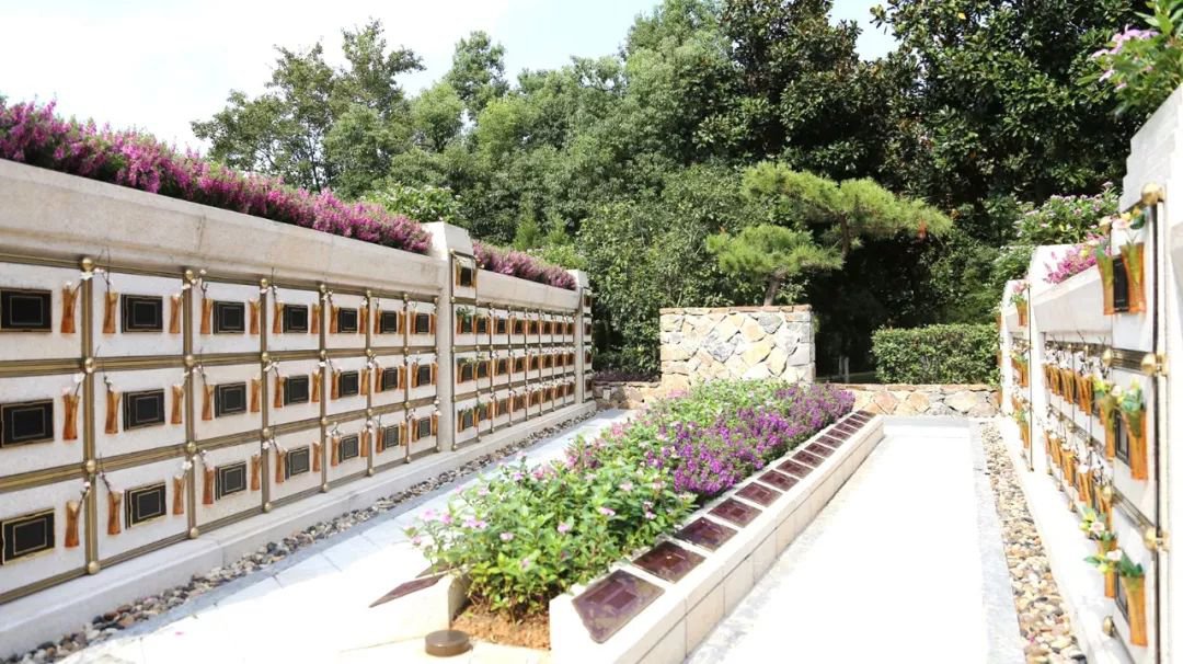 <b>在合肥大蜀山文化陵园，与生命温柔对话</b>