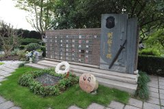 致敬“平安卫士”，铭记“刑警之魂”