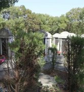 绿色生态葬：文明赓续的绿色选择