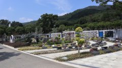 生态葬，让生命在绿意中永恒