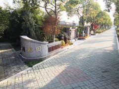 城市最后一平米：生态葬，是与自然的和解？还是无奈的选择？